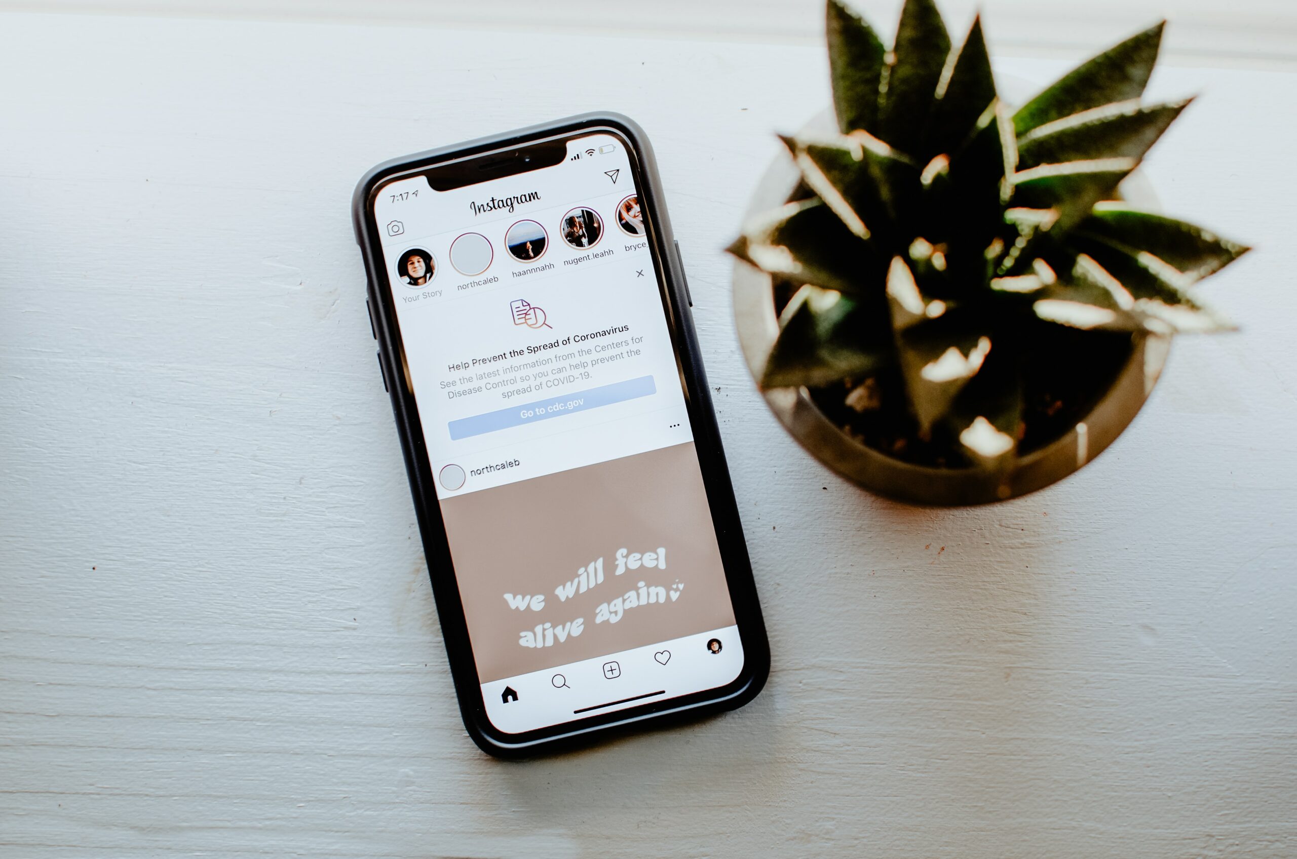 alex bracken X8WQD0UYsfA unsplash scaled